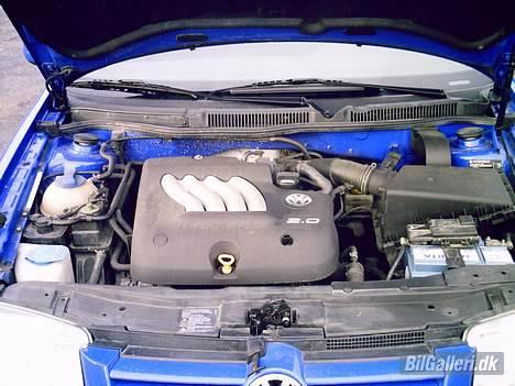 VW Bora(Solgt) billede 5