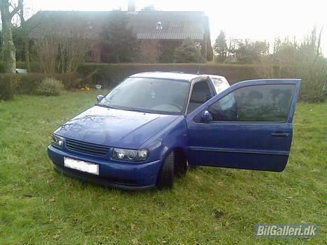 VW polo 6N billede 1