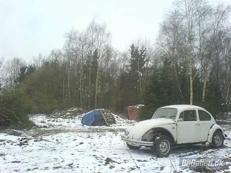 VW Boble "BYTTETT" billede 17