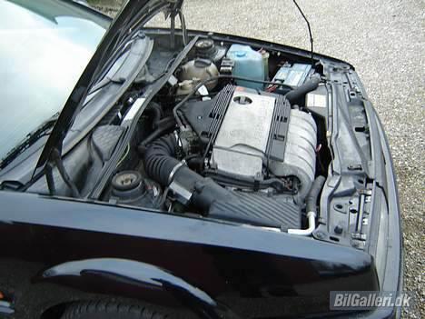 VW Corrado VR6 **SOLGT** billede 12