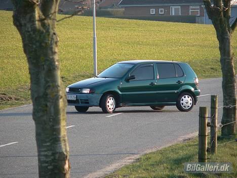 VW Polo billede 10