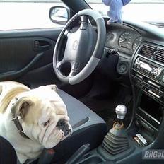 Toyota Corolla- Super Yotaen!!