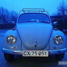 VW Bobbel
