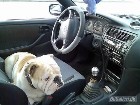 Toyota Corolla- Super Yotaen!! - min alarm billede 2