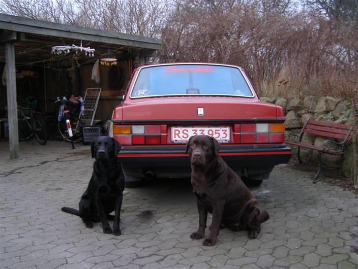 Volvo 240  billede 7
