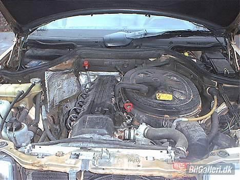 Mercedes Benz 260 E billede 5