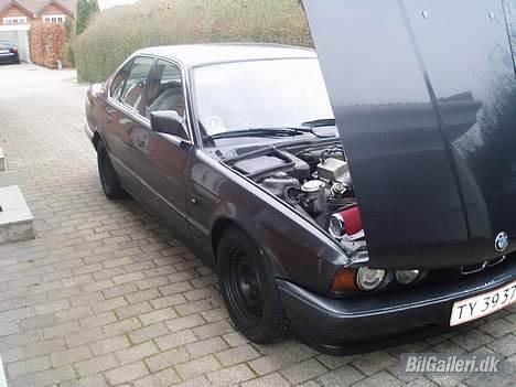 BMW 525td solgt billede 4