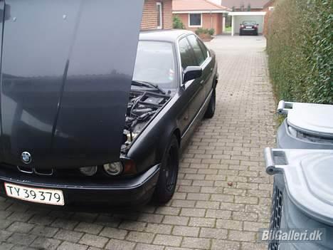 BMW 525td solgt billede 5