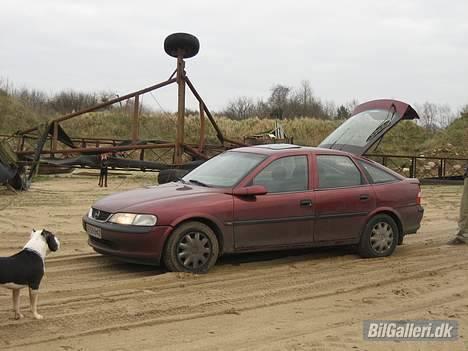 Opel Vectra billede 6