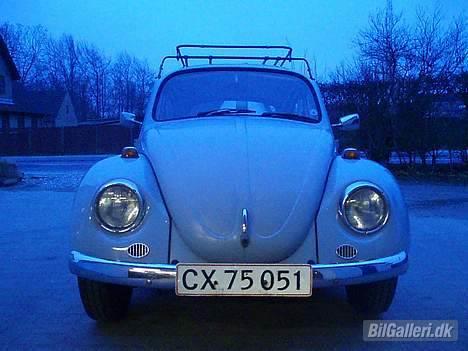 VW Bobbel billede 3