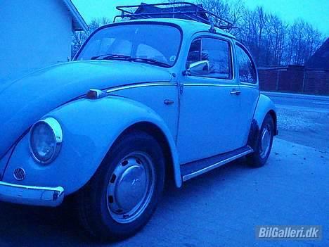VW Bobbel billede 4