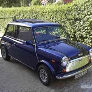 Austin-Morris Mascot