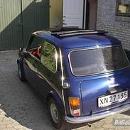 Austin-Morris Mascot