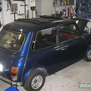 Austin-Morris Mascot