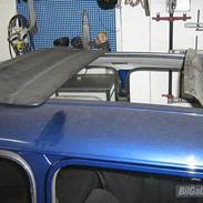 Austin-Morris Mascot