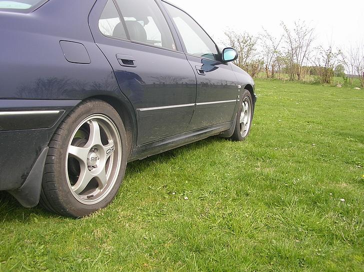 Peugeot 406 3,0 24v ts6 billede 3