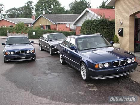 BMW E34 M5 3.8l / 3.9l - Mine to blå M5ér foran den sorte. billede 12