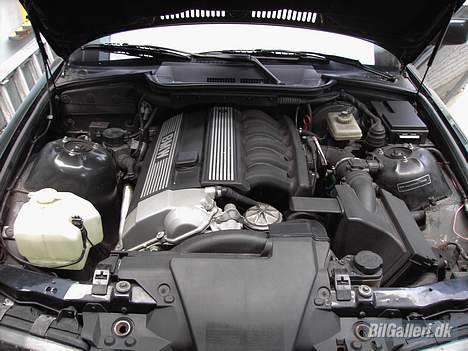 BMW e36 320i Coupe  billede 6