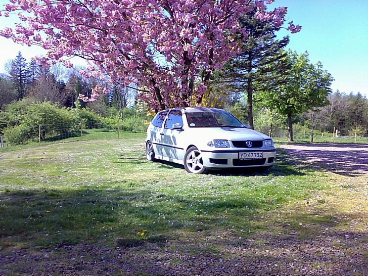 VW polo 6N2 (SOLGT) - Hjemme på farmen billede 1