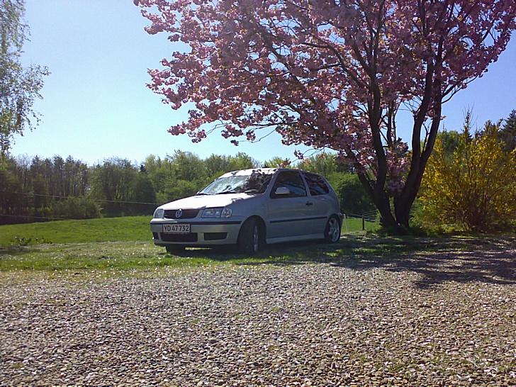 VW polo 6N2 (SOLGT) - Hjemme på farmen billede 3