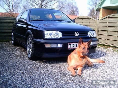 VW Golf 3*Solgt* billede 1