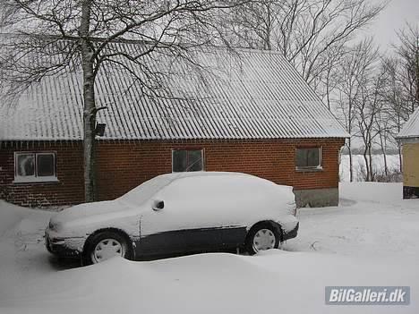 Toyota corolla champ billede 14