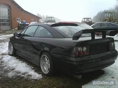 Opel Calibra - Sød vinkel (: billede 20