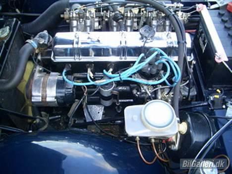 Triumph TR 5 PI billede 6