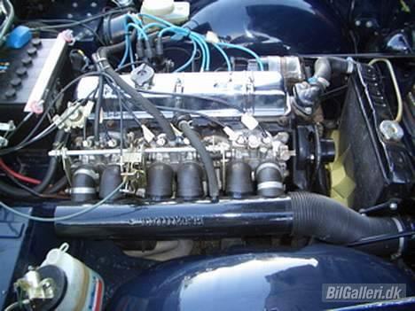 Triumph TR 5 PI billede 7