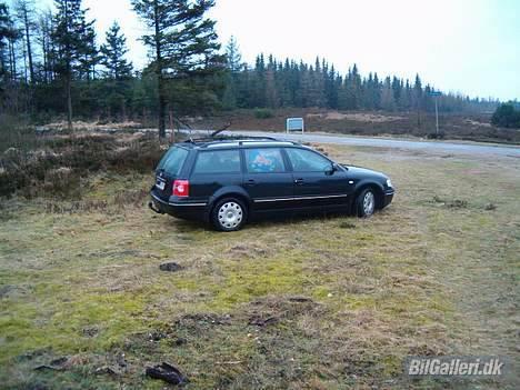 VW passat 3b  SOLGT billede 4