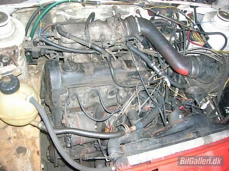 VW Golf 2 (folkeracer) billede 5