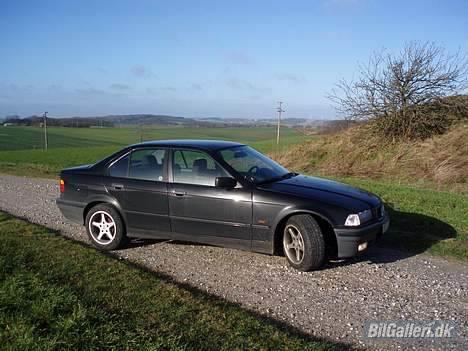 BMW 318I R.I.P billede 4