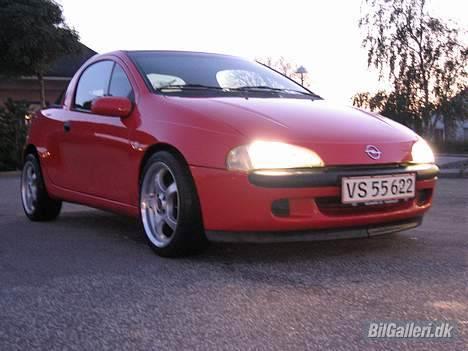 Opel Tigra billede 6