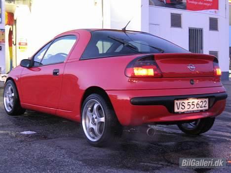 Opel Tigra billede 8
