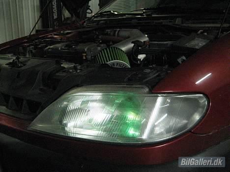 Citroën Xsara 8V  DØD - grøn posions pære og filter billede 8