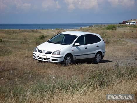 Nissan Almera Tino (solgt) billede 1