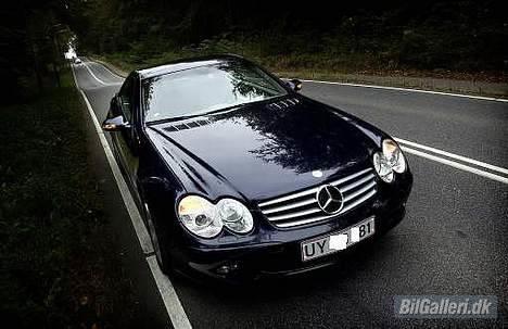 Mercedes Benz SL 500 5.0 V8 Cabriolet billede 15