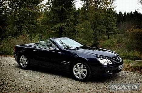 Mercedes Benz SL 500 5.0 V8 Cabriolet - Taget tilbage i november måned, mens der stadigvæk var blade på træerne  billede 16