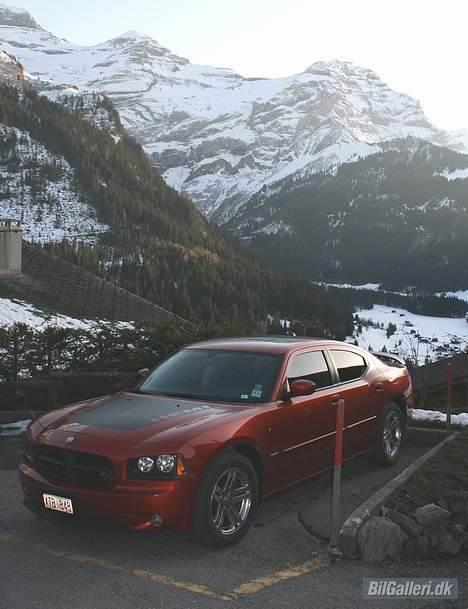 Dodge Charger R/T Daytona - Den tykke dame en tur i Alperne billede 12