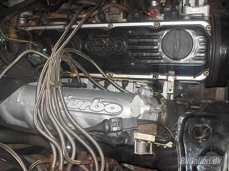 Audi Coupe GT- SOLGT billede 11