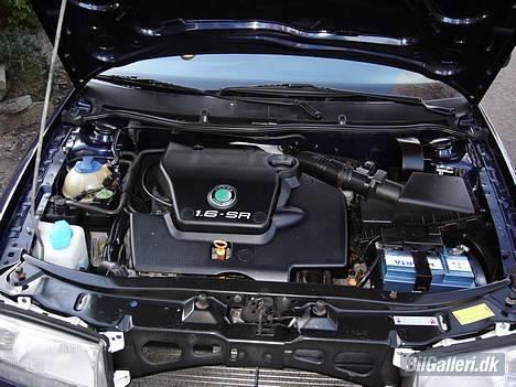 Skoda Octavia billede 2