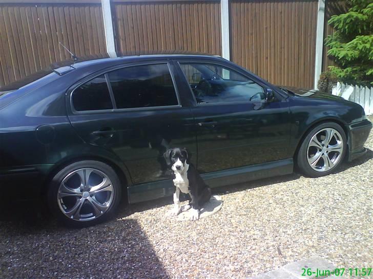 Skoda octavia tdi  **SOLGT**  billede 2