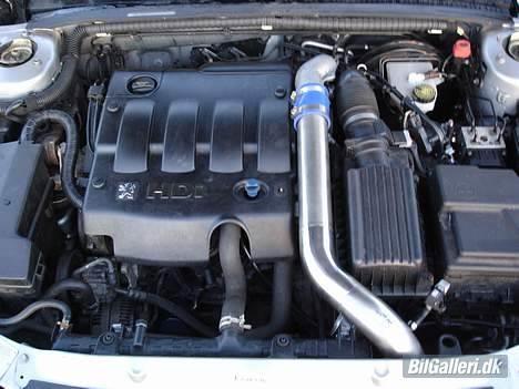 Peugeot 406 HDi - 2 1/2" rusfri rør fra turbo til indsugning billede 13