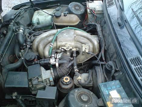 BMW E30 325I (solgt) billede 13