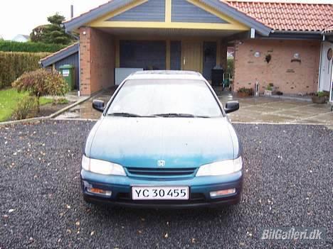 Honda Accord Coupé /SOLGT\ billede 11