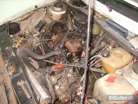 VW Golf 2 død ved kølle billede 19