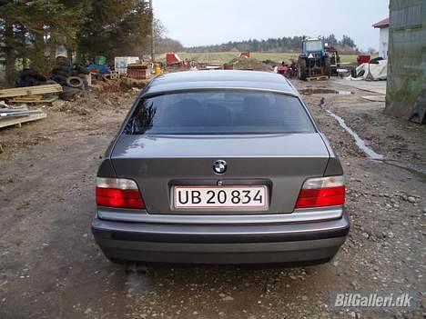 BMW e36 325i Miss you baby billede 7
