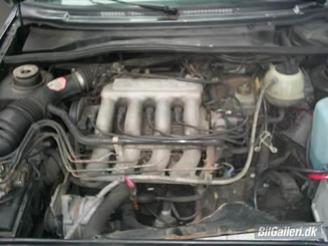 VW golf  SOLG!!! billede 7