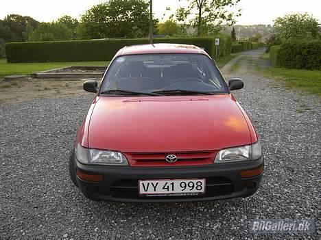 Toyota Corolla E101**SOLGT** billede 5