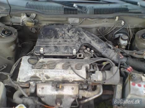 Nissan sunny  solgt billede 4